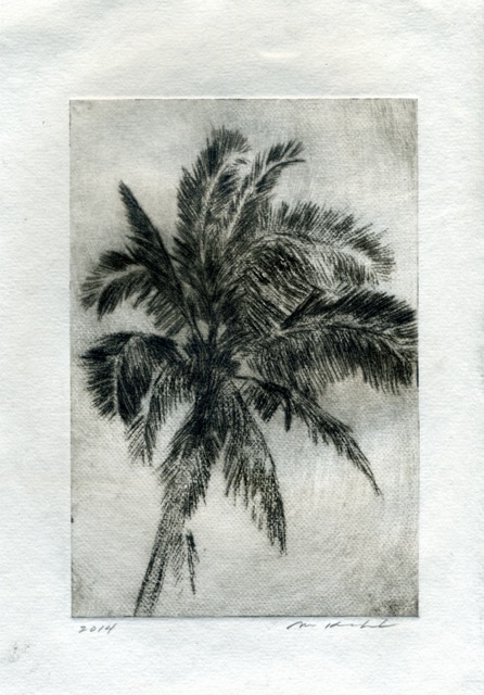 Palm, 6