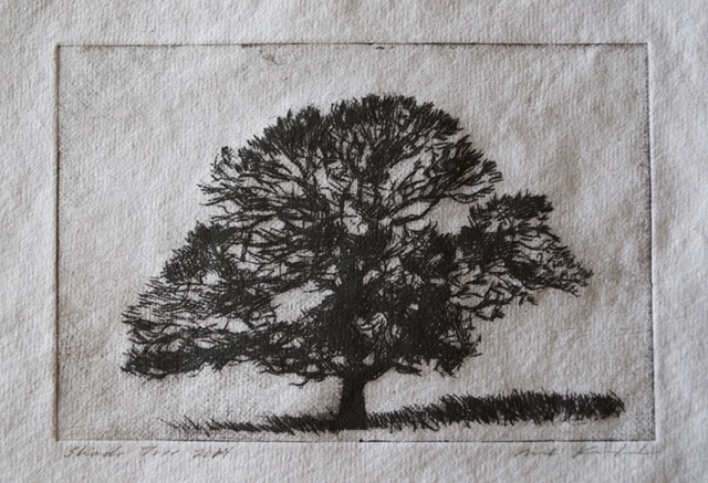 Tree, 6